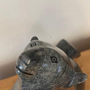 Dancing Bear _ Ashevak Adla