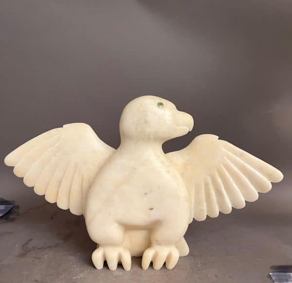 Owl _  Toonoo Sharky