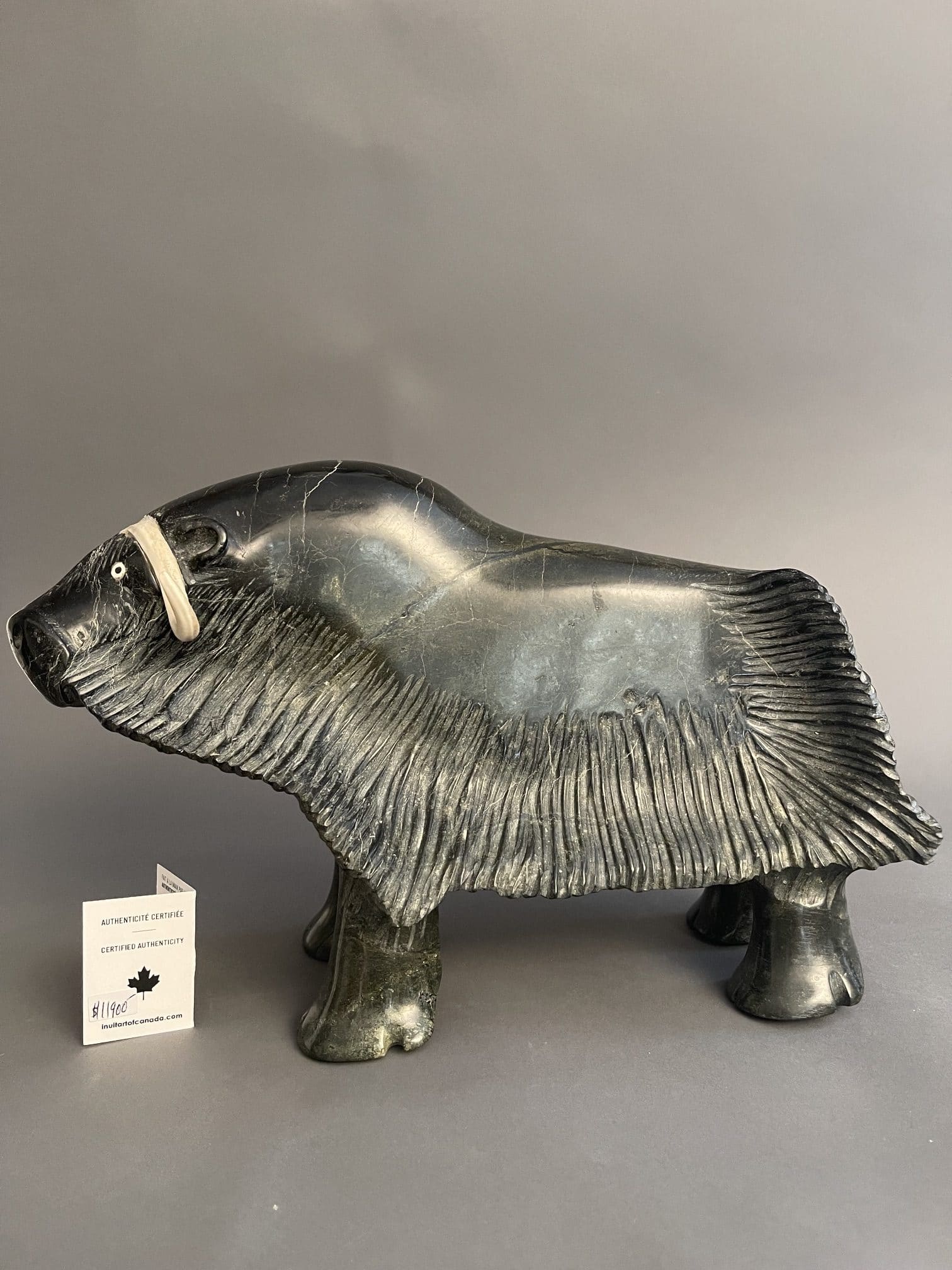 Muskox _ Nuveeya Ipellie
