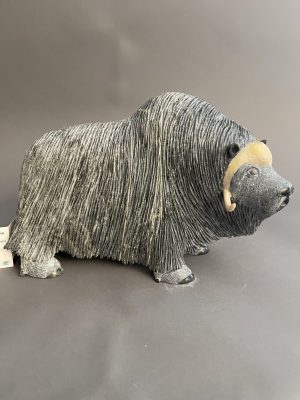Muskox _ Lucassie Ikkidluak