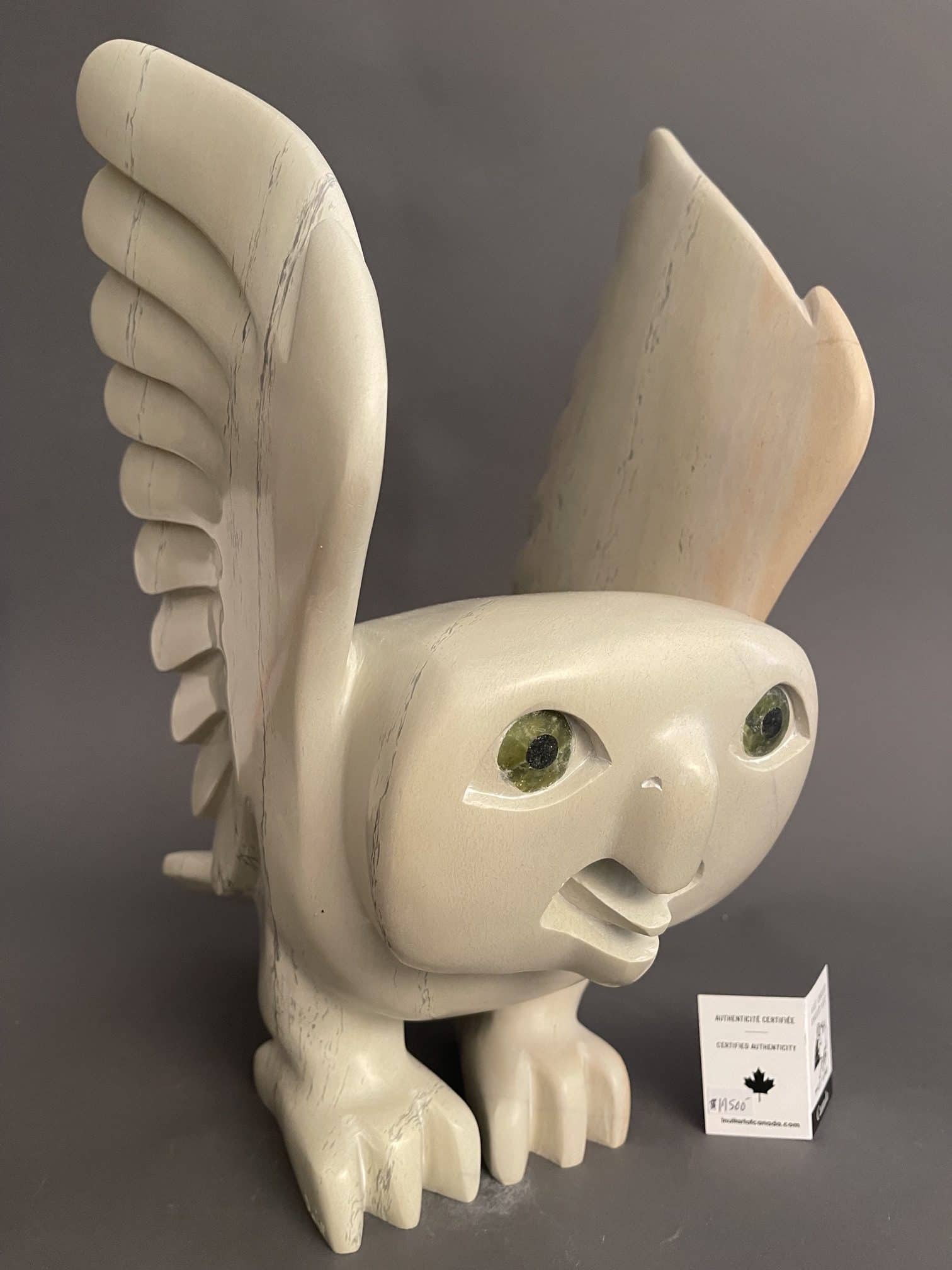 Owl _ Toonoo Sharky
